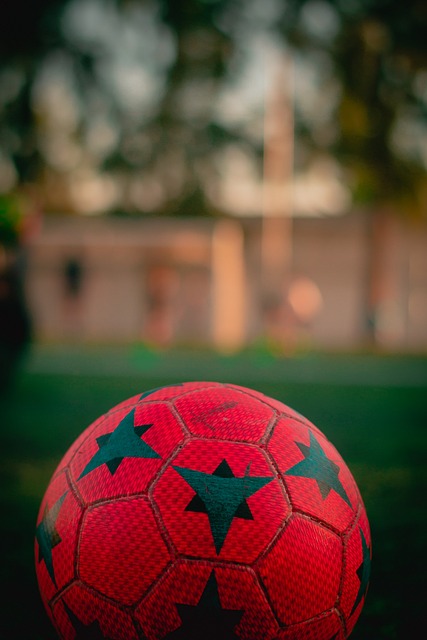 他的加盟或 他的加盟或