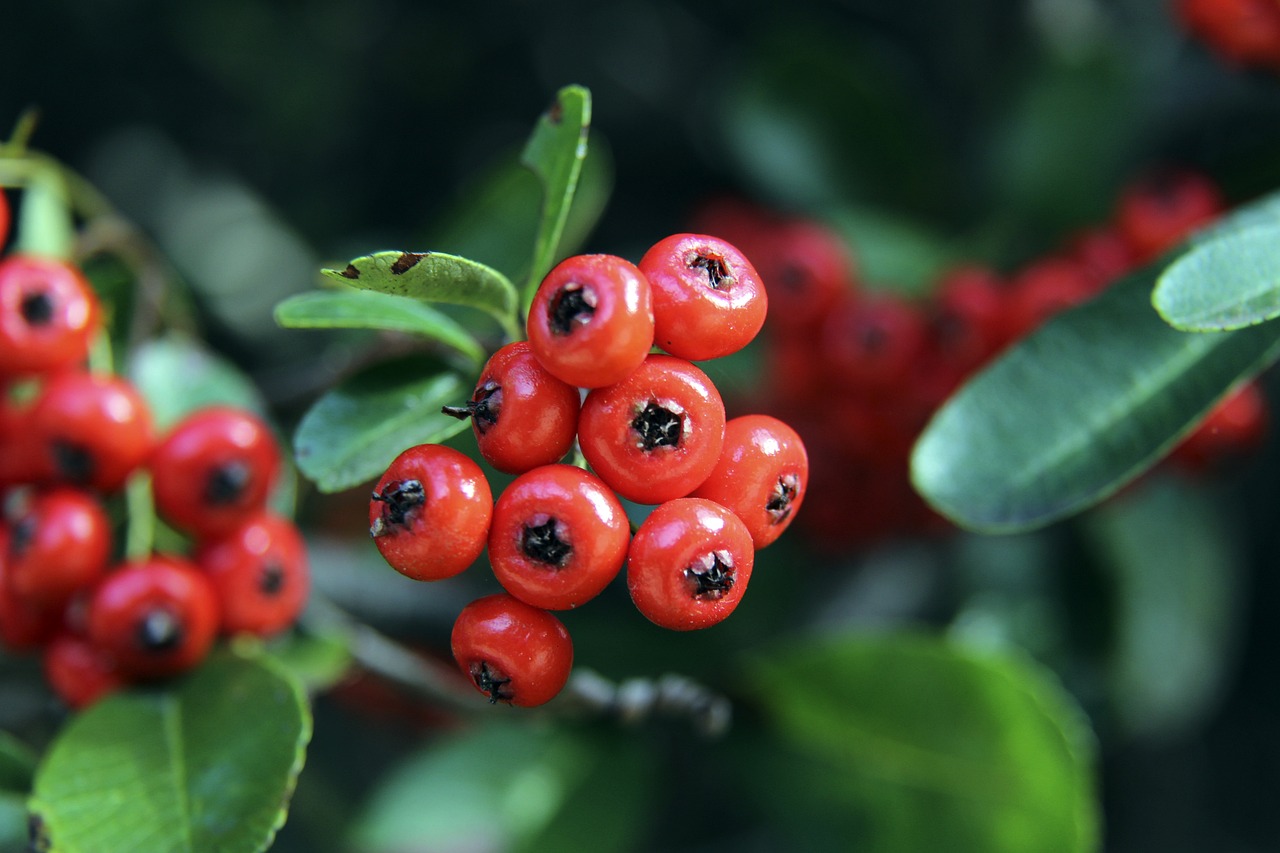 类大赛中逐 类大赛中逐