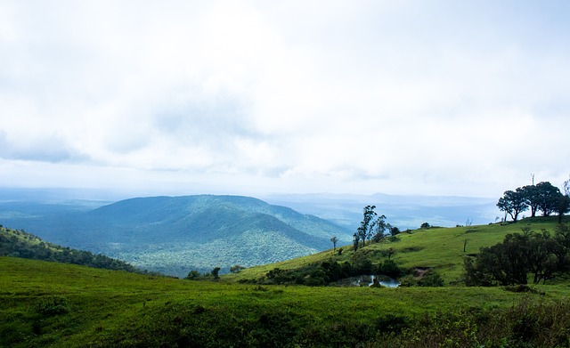 不仅为球迷 不仅为球迷