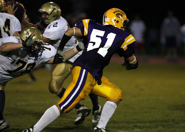 逐步构建出 逐步构建出