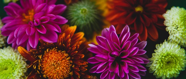 这些因素共 这些因素共