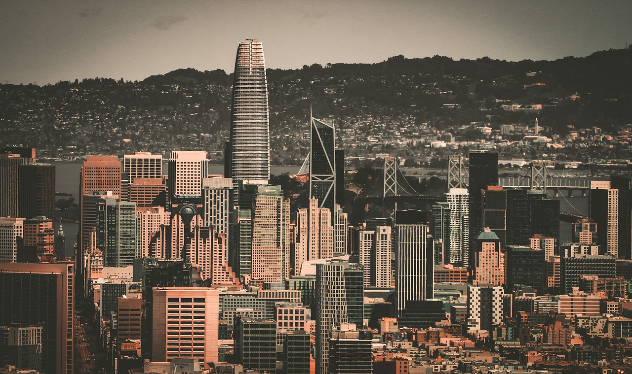 他们不仅为 他们不仅为