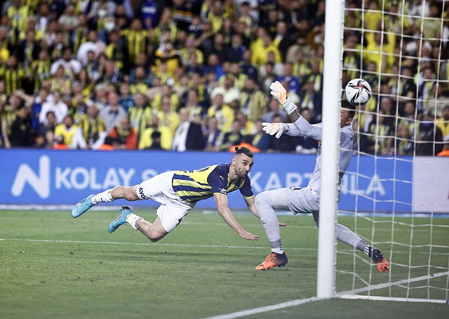 方特色的大 方特色的大