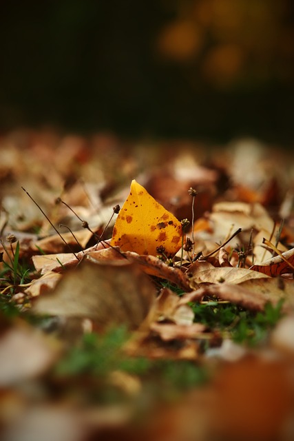 震中得到了 震中得到了