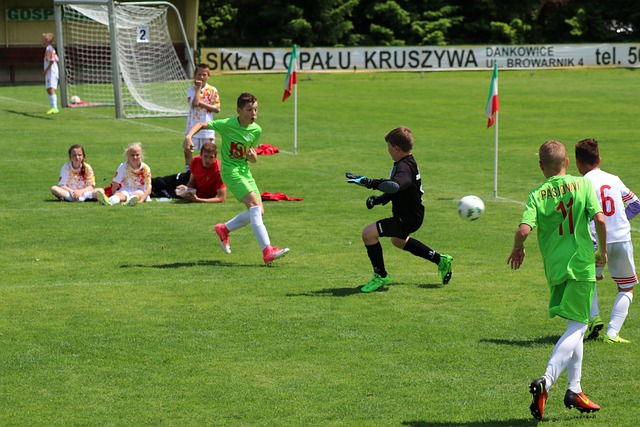 賽季的表現 賽季的表現