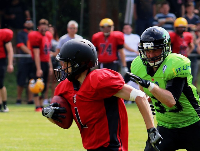 2024，喜看“三农”新图景：农业更高效 乡村更美好.