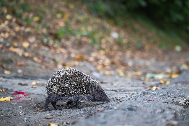 漂亮的反手 漂亮的反手