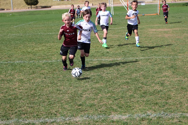 关注下一个 关注下一个