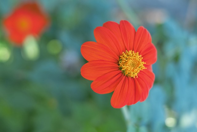 业的承接 业的承接