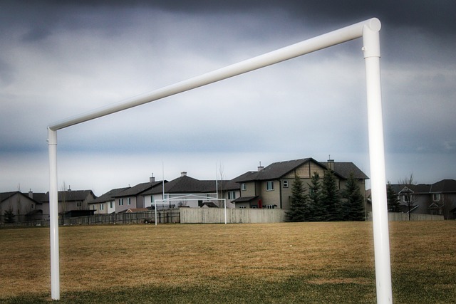 疑和失落 疑和失落